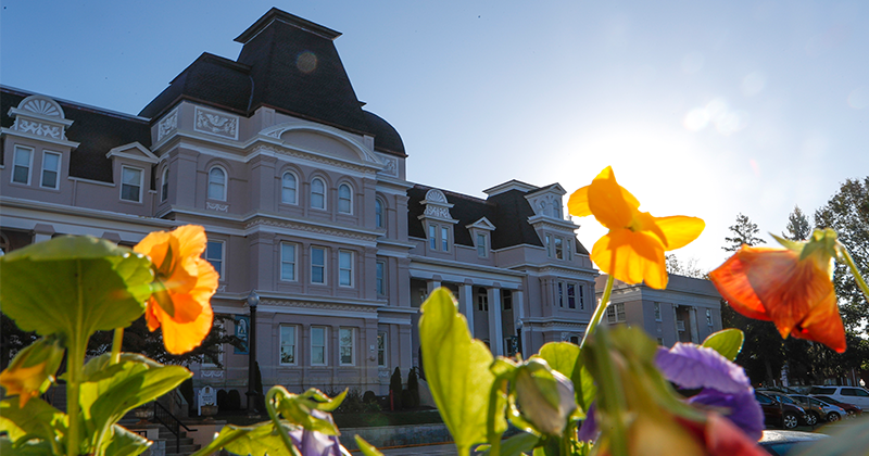 flowers in foreground with university campus in background